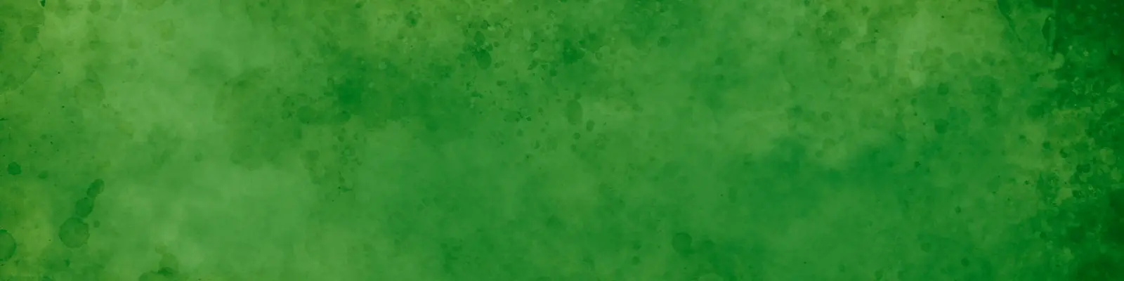 Lucky Bus background